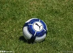 中超,蓉城战海港,乐鱼体育,乐鱼,LeYu,乐鱼注册网址,乐鱼app,乐鱼官网,乐鱼网站,乐鱼下载