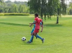 全明星盛宴,盛大启幕,新浪,乐鱼,LeYu,乐鱼注册网址,乐鱼app,乐鱼官网,乐鱼网站,乐鱼下载