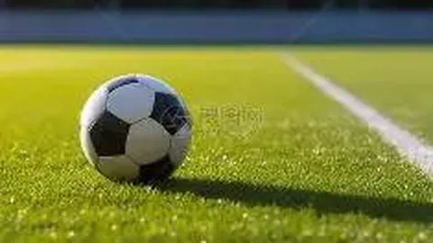 “曼联中场新篇章揭晓：冬季静待风云，来年巨鳄猎手锁定双雄！”