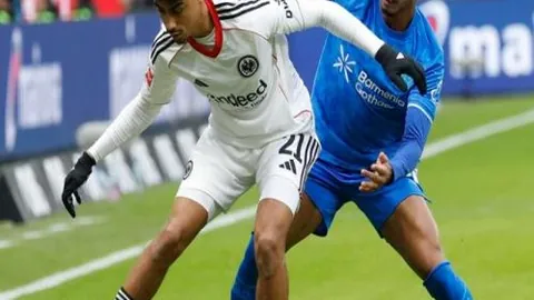 郑钦文：海外媒体见证蜕变之旅